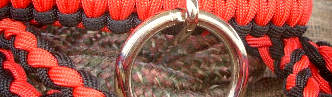 slideshow image one